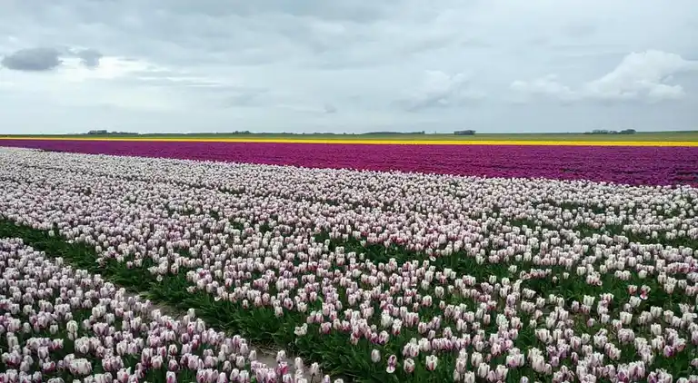 Sommerhus i Region Holland
