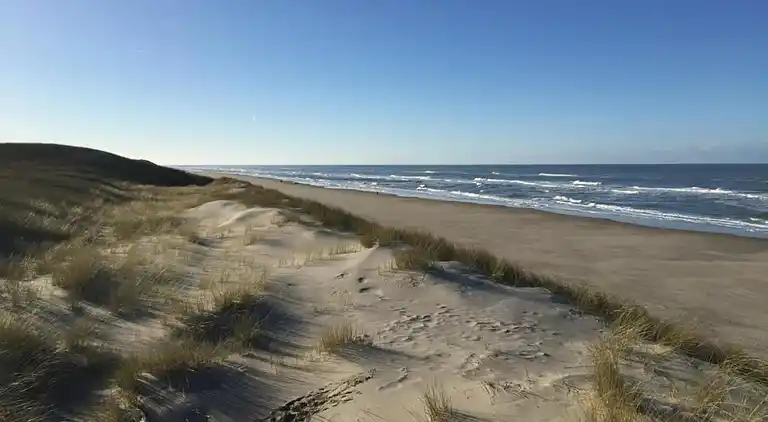 Sommerhus i Region Holland