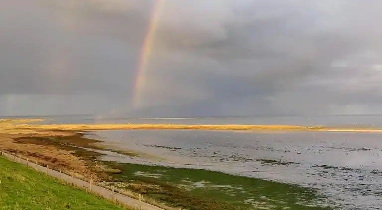 Sommerhus i Region Holland