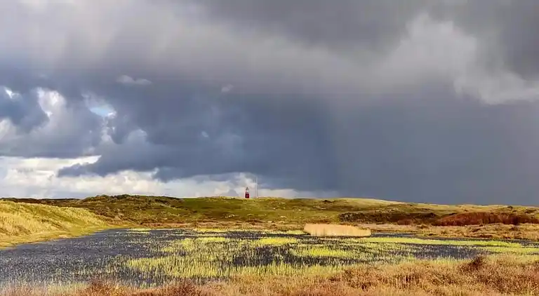 Sommerhus i Region Holland