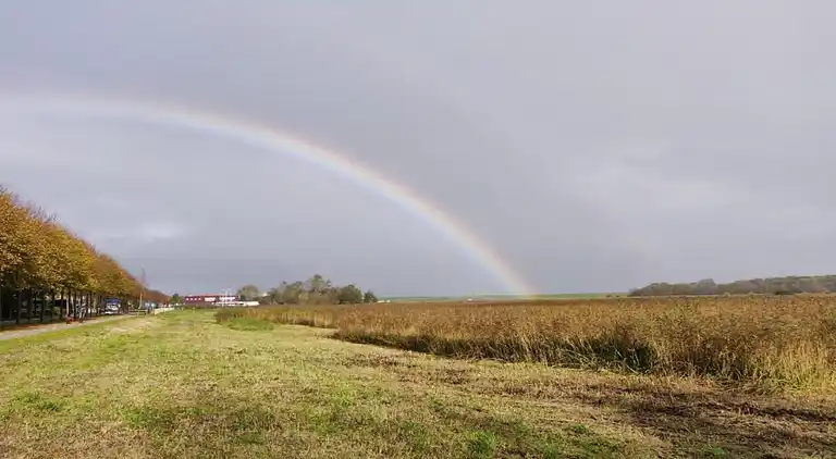 Sommerhus i Region Holland