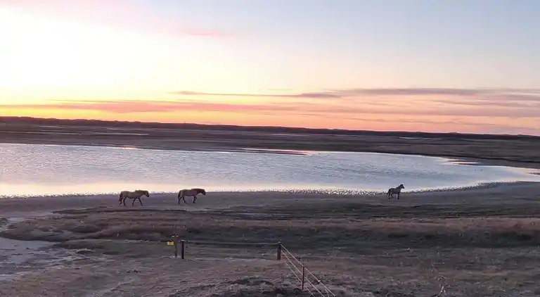 Sommerhus i Region Holland