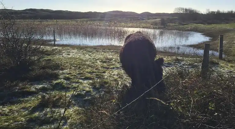 Sommerhus i Region Holland