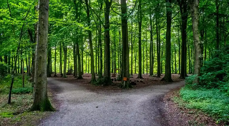 Hytte i Region Holland