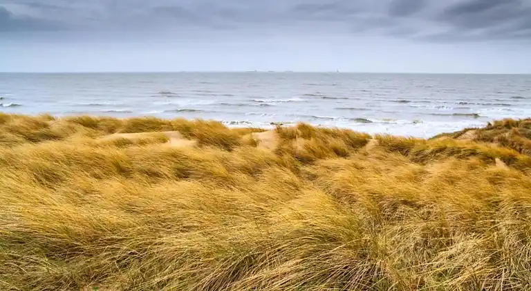 Hytte i Region Holland