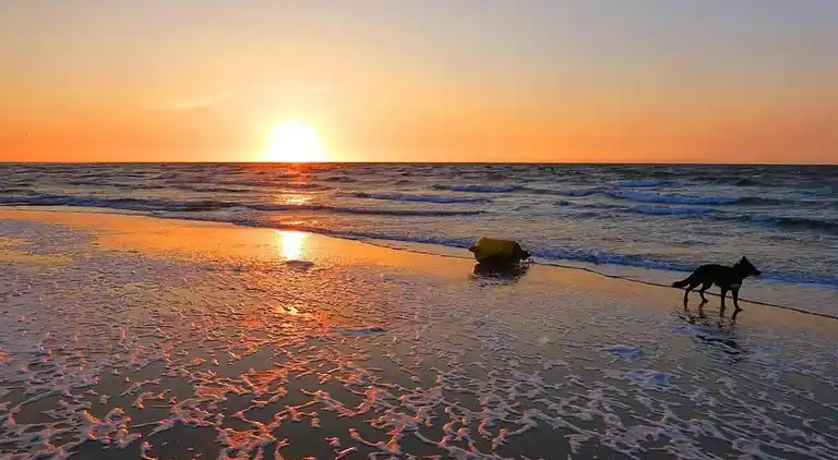 Holiday home in Kamperland