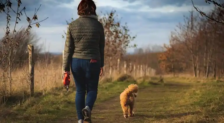 Semesterbostad i Kamperland