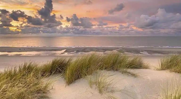 Ferienwohnung in Cadzand