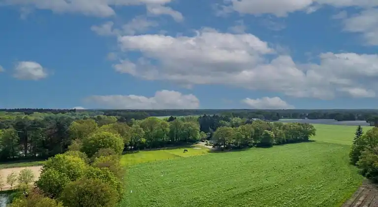 Ferienwohnung in Cadzand