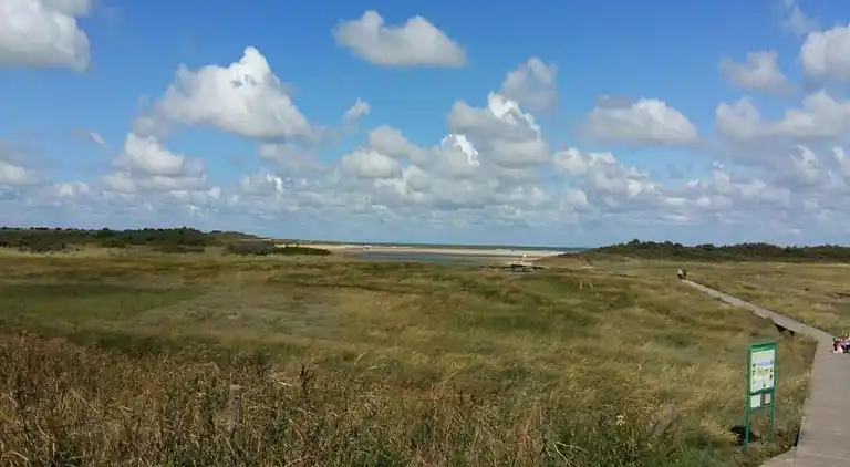 Ferienwohnung in Cadzand