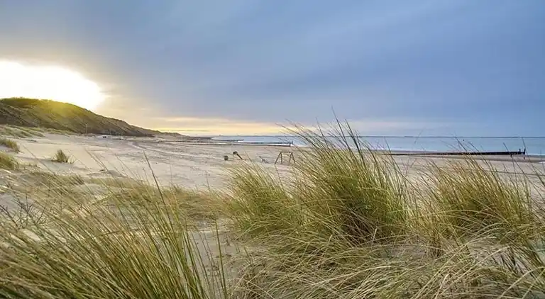 Ferienwohnung in Cadzand