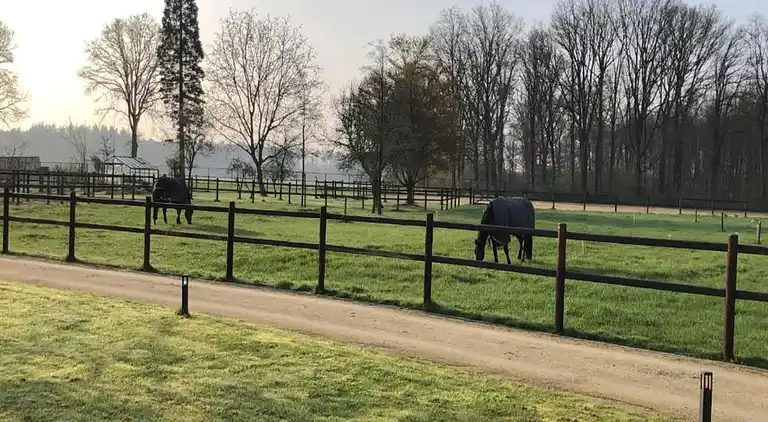 Ferienwohnung in Cadzand
