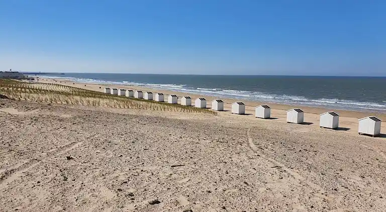 Ferienwohnung in Cadzand