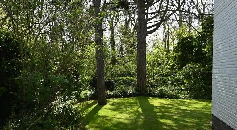 Ferienwohnung in Cadzand
