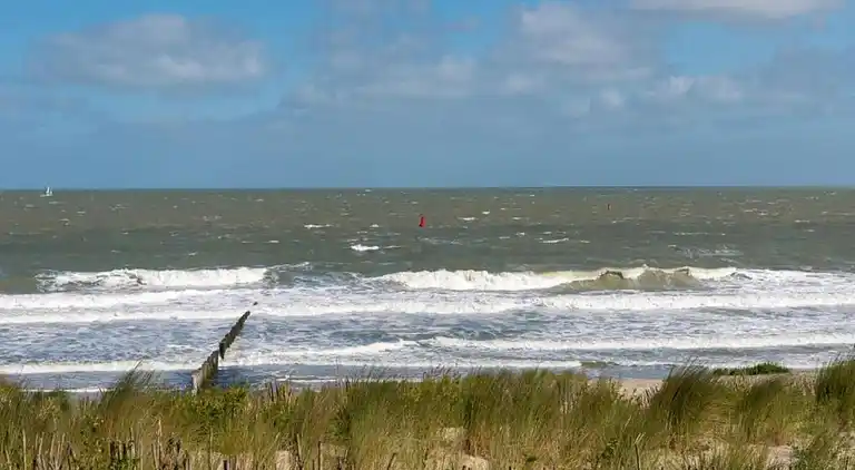 Ferienwohnung in Cadzand