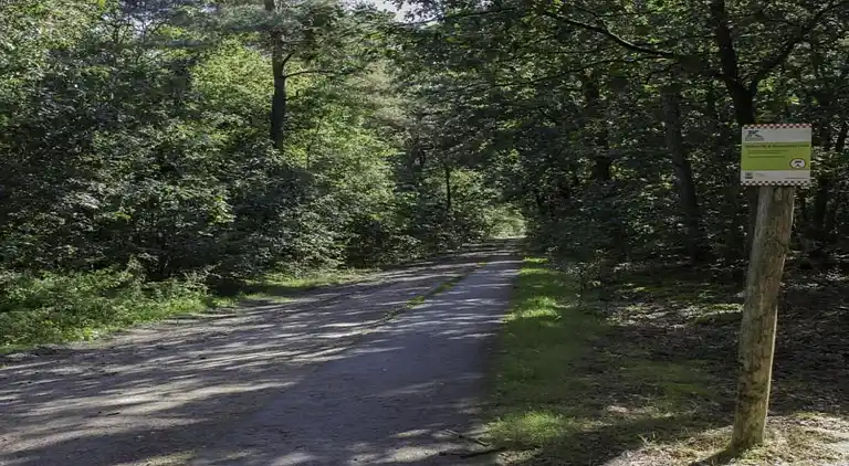 Ferienwohnung in Cadzand