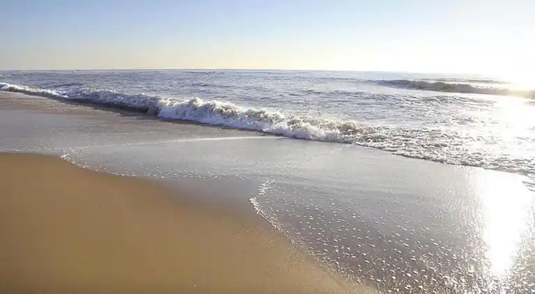 Ferienwohnung in Cadzand