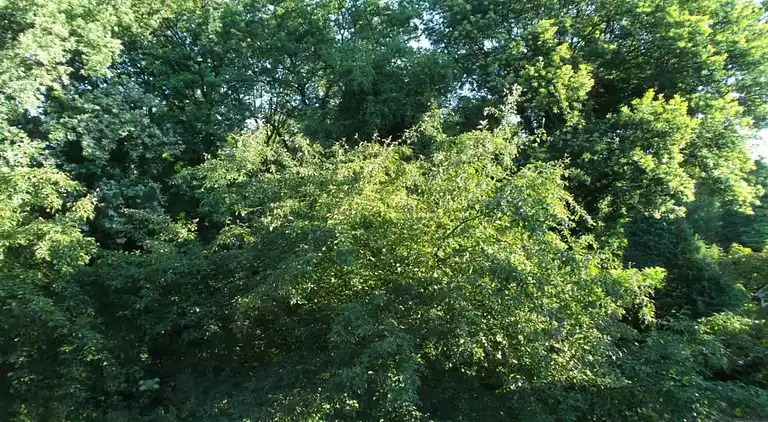 Ferienwohnung in Cadzand