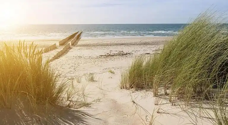 Ferienwohnung in Cadzand