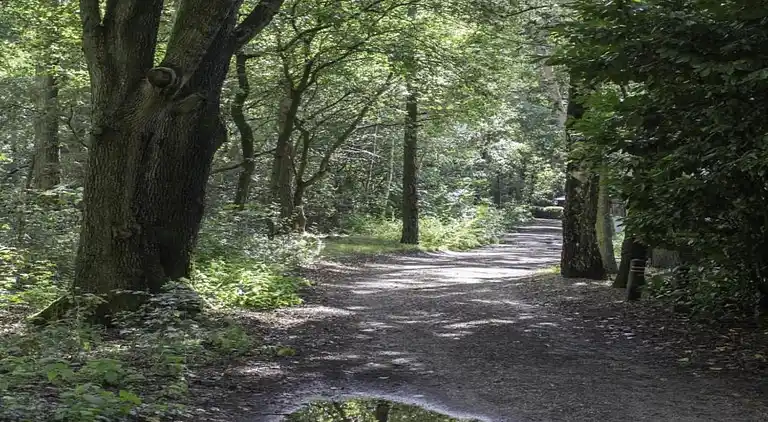 Ferienwohnung in Cadzand
