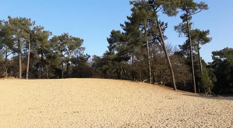 Sommerhus i Udenhout