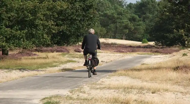 Sommerhus i Udenhout