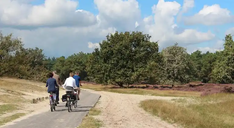 Sommerhus i Udenhout
