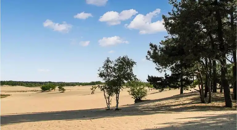 Sommerhus i Udenhout