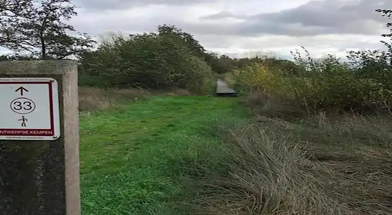 Cottage in Baarle-Nassau
