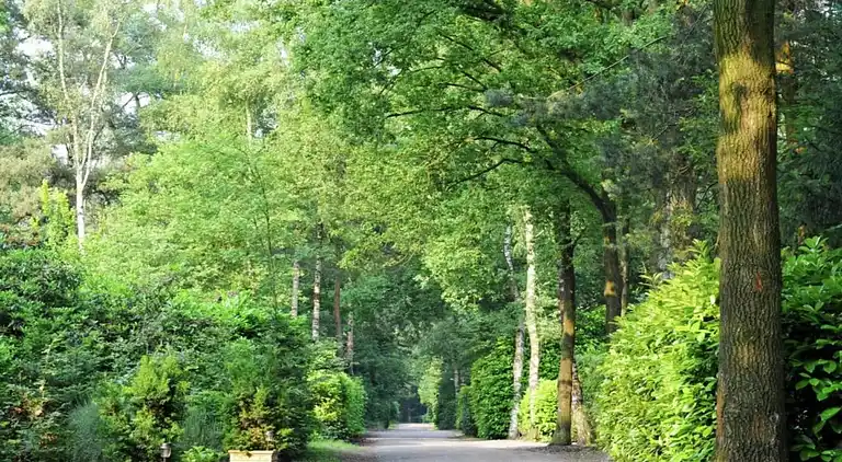 Cottage in Baarle-Nassau