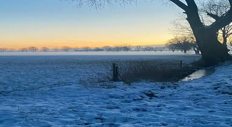 Cottage in Baarle-Nassau
