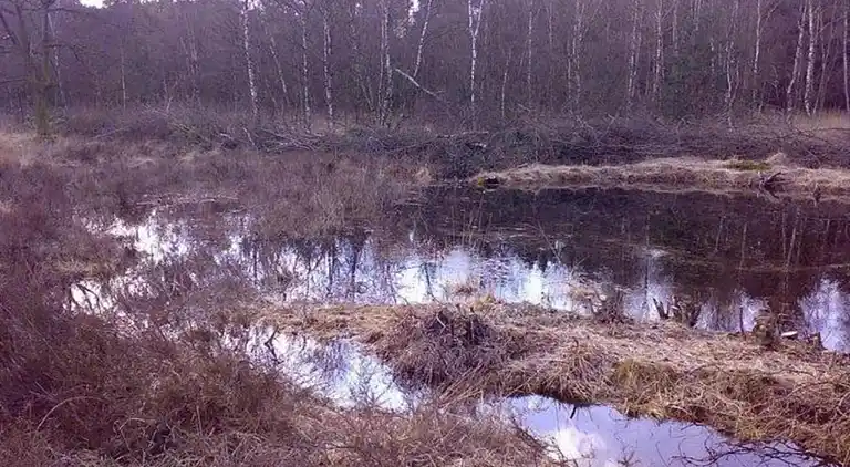 Hytte i Uden