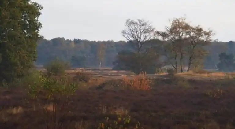 Hytte i Uden