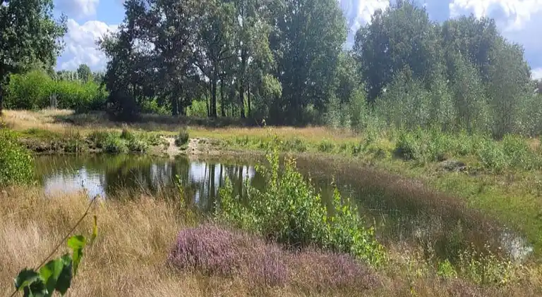 Hytte i Uden