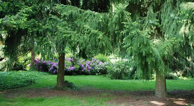 Holiday home in Arcen