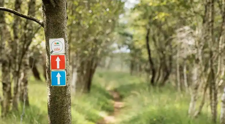 Villa i Ferienpark Gut Langen