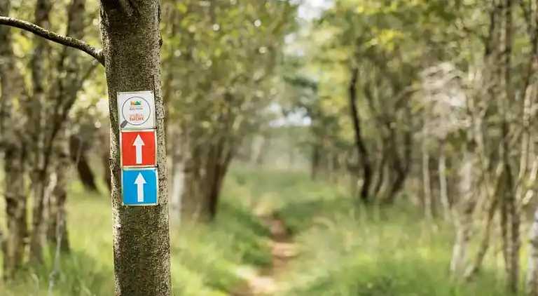 Villa i Ferienpark Gut Langen