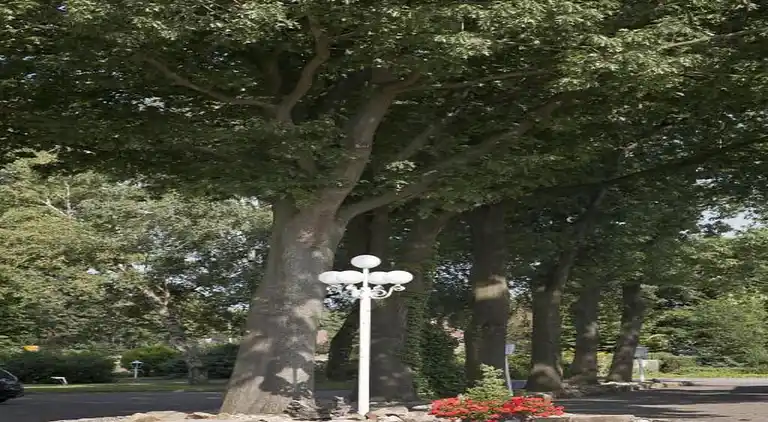 Villa i Ferienpark Gut Langen