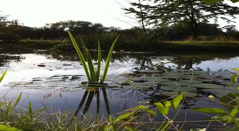 Villa i Ferienpark Gut Langen