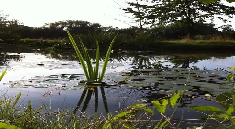 Villa i Ferienpark Gut Langen