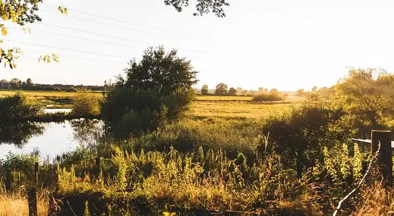 Villa i Ferienpark Gut Langen