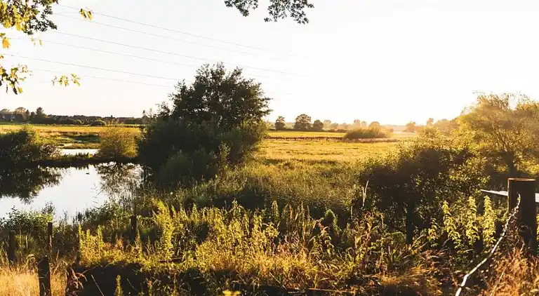 Villa i Ferienpark Gut Langen