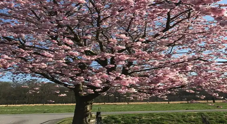 Villa i Ferienpark Gut Langen