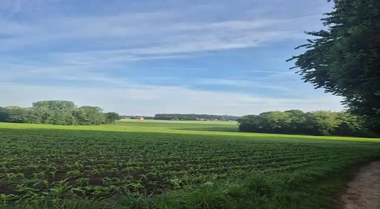 Villa i Ferienpark Gut Langen