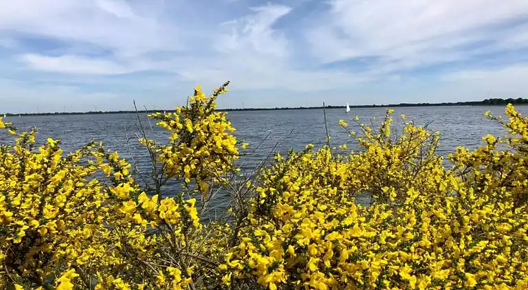 Villa in Ferienpark Gut Langen