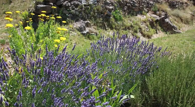 Casa de vacaciones en Moussan