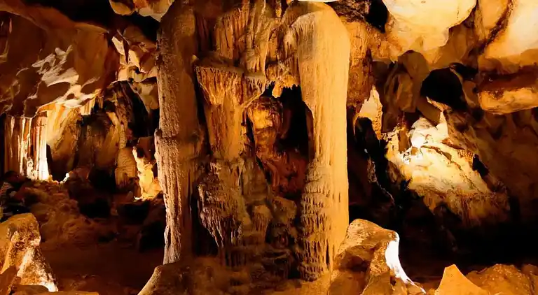 Vakantiehuis in Roquecourbe-Minervois