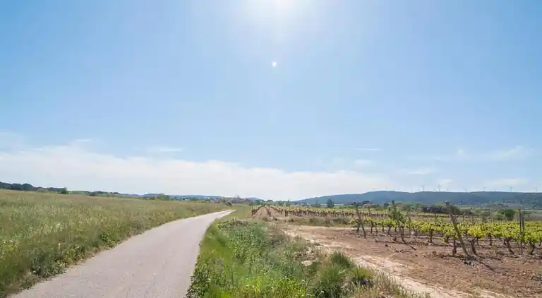 Vakantiehuis in Roquecourbe-Minervois