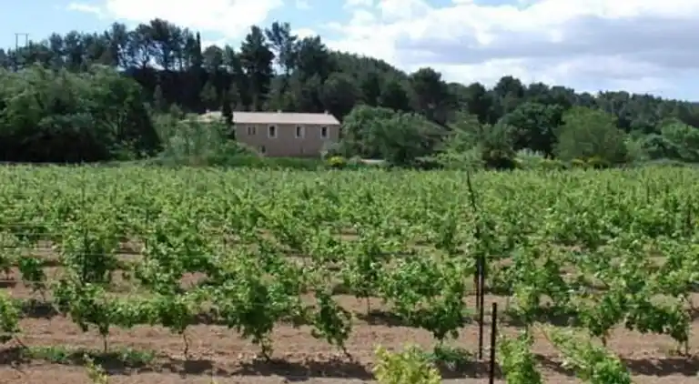 Vakantiehuis in Roquecourbe-Minervois