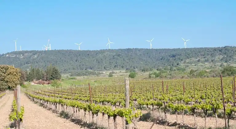 Cottage in Roquecourbe-Minervois